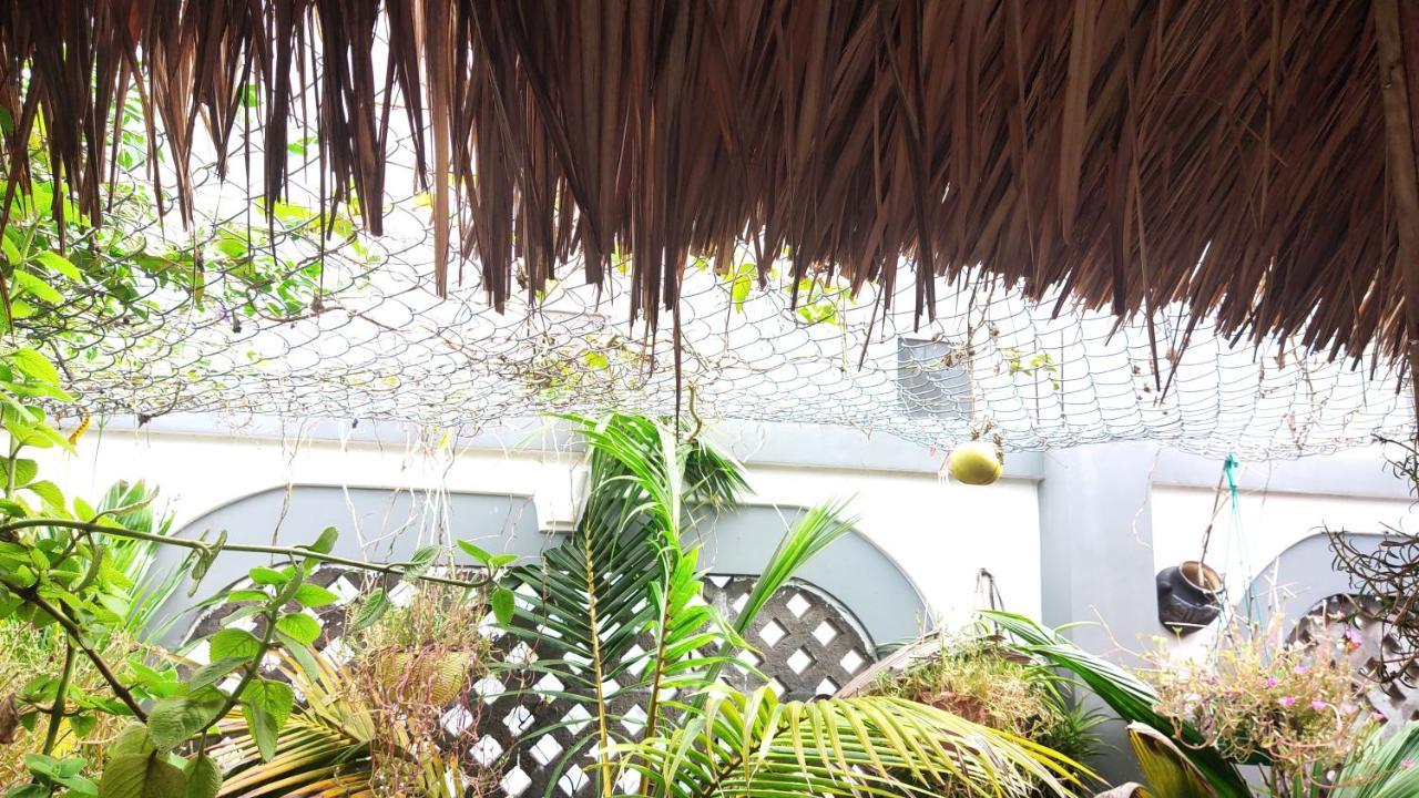 Homestay Nha Muoi クイニョン エクステリア 写真