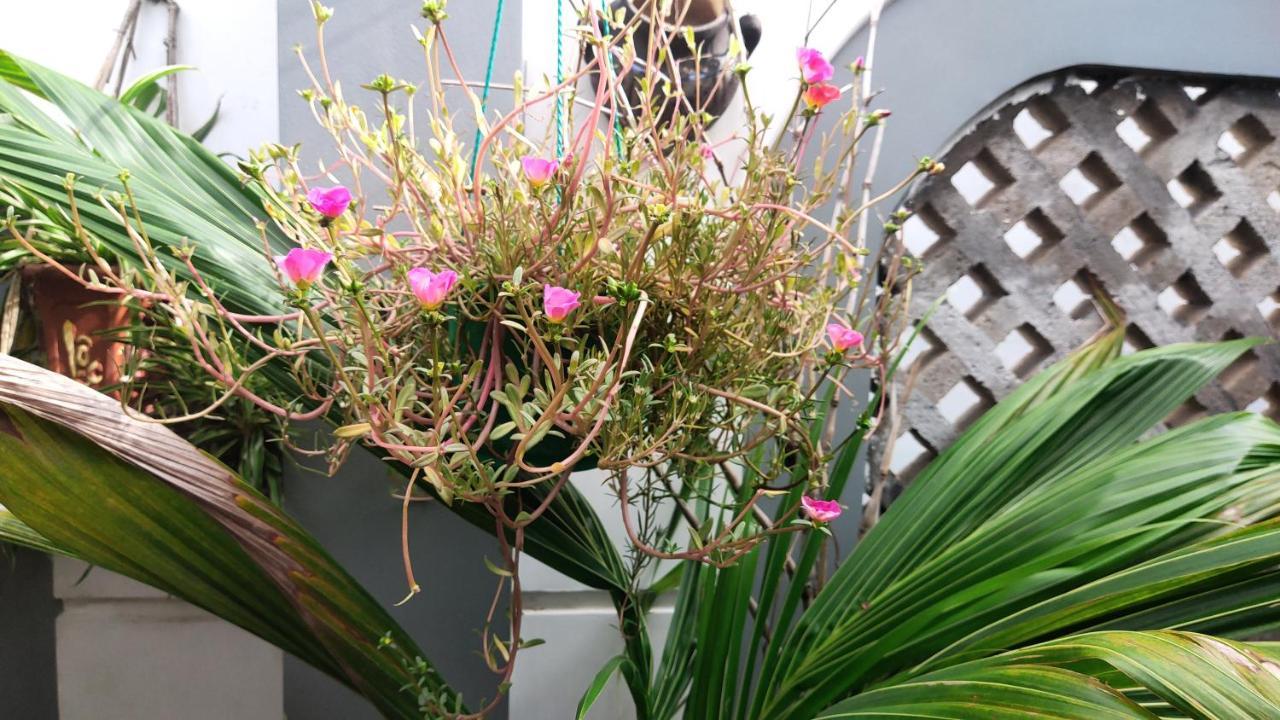 Homestay Nha Muoi クイニョン エクステリア 写真